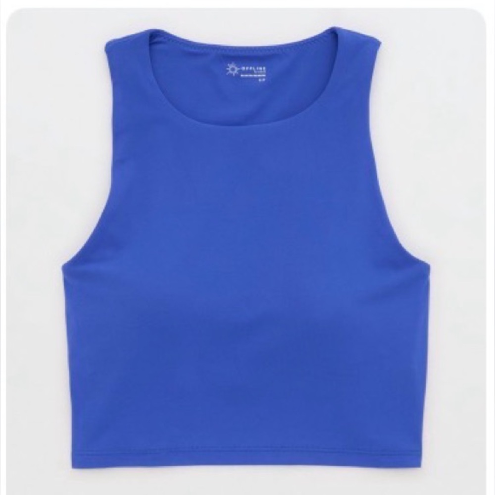 Aerie Blue Crop Top